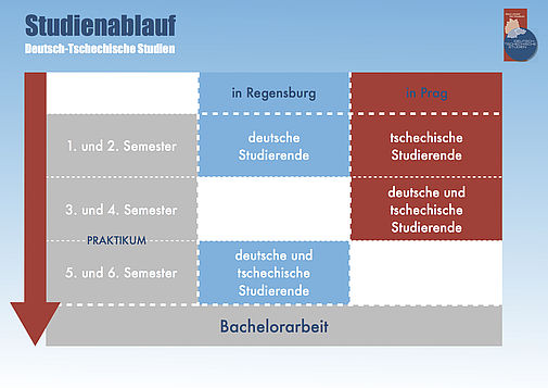 Studienablauf-dts 2017