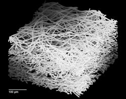 Persp1 2000fibers