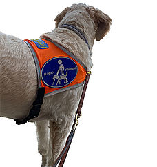 Assistenzhund