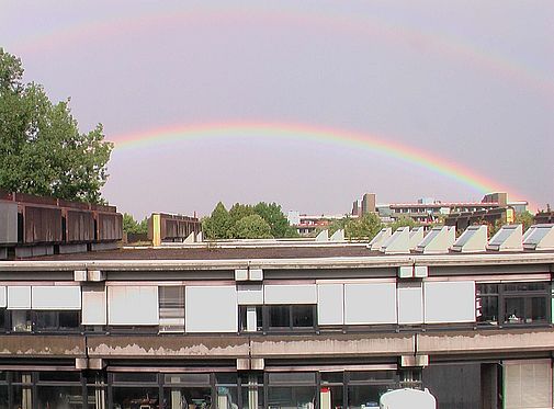 Regenbogen-web