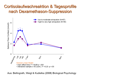 cortisolaufwachrea