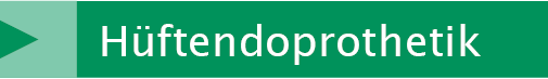 Link Hüftendoprothetik