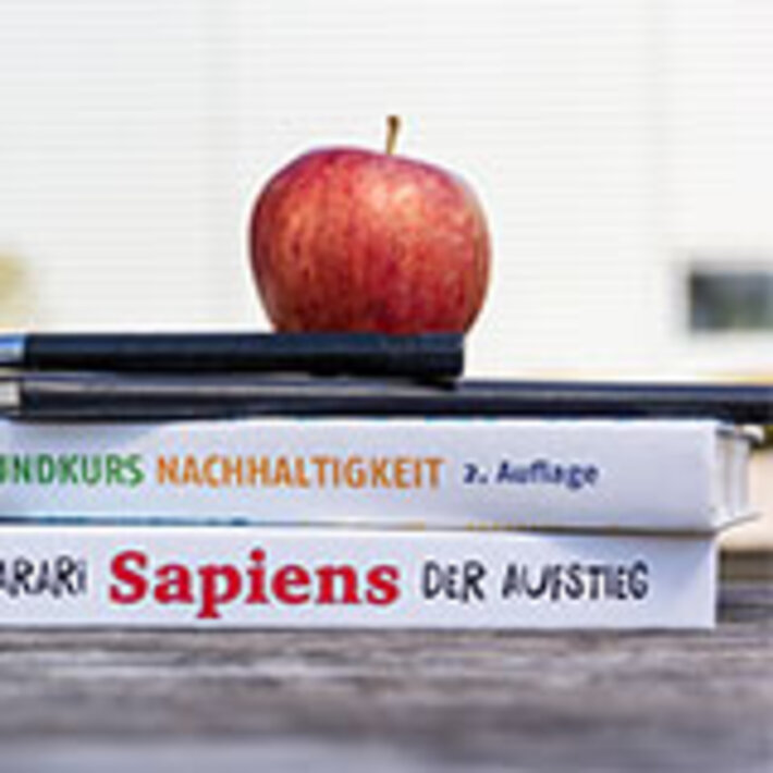 (öffnet Vergrößerung des Bildes)