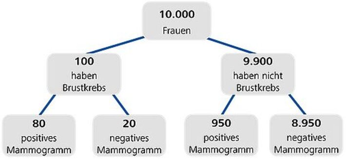 (öffnet Vergrößerung des Bildes)