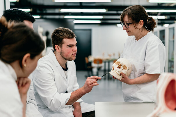 Studierende im weißen Kittel besprechen mit ihrer Dozentin den Aufbau eines menschliichen Schädels anhand eines Modells