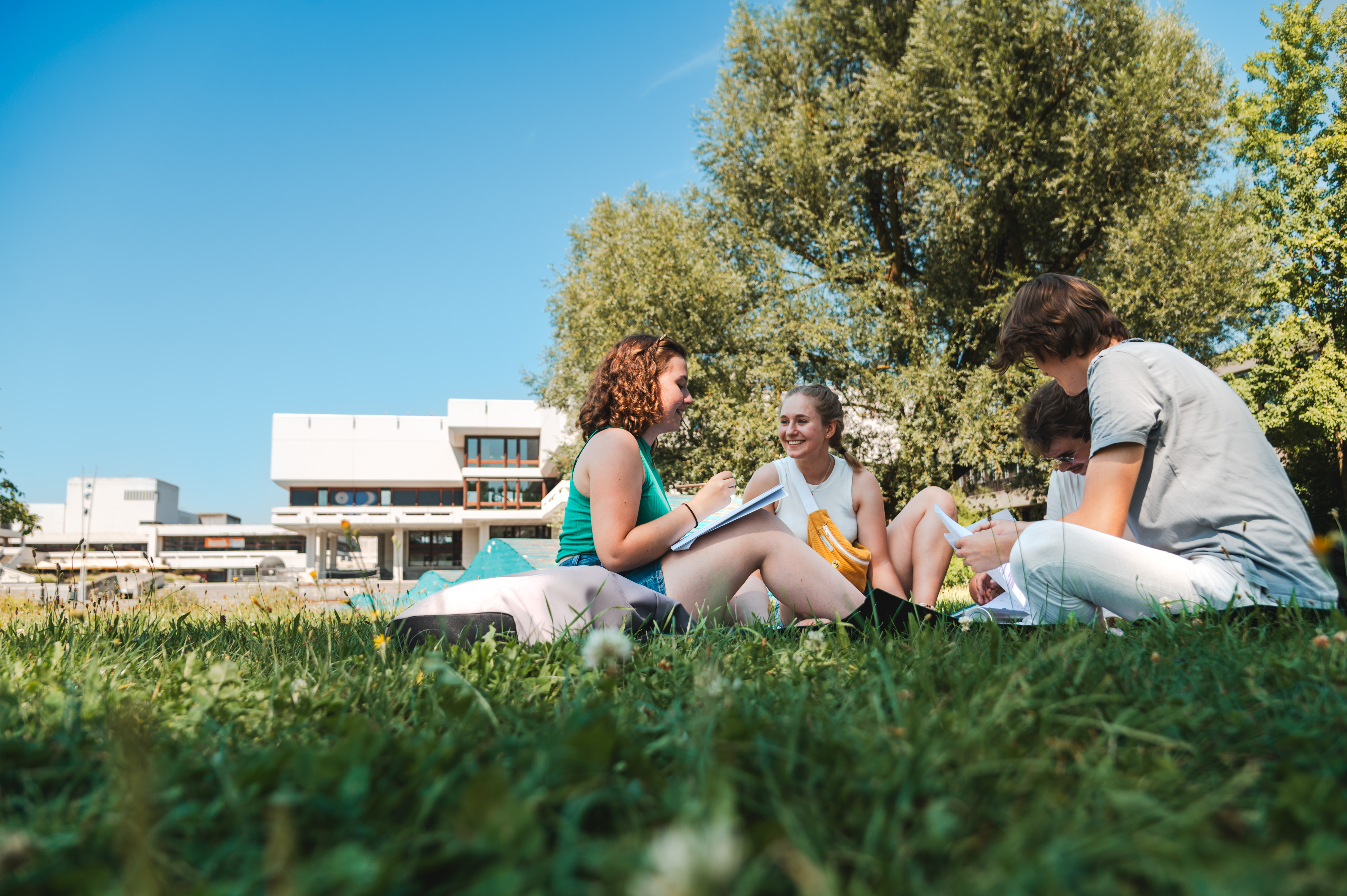 Eine Gruppe Studierender sitzt an einem Sommernachmittag zusammen auf einer grünen Wiese am Campus.